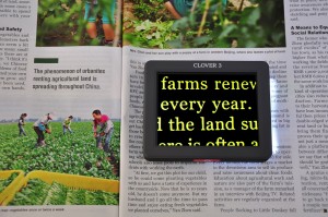 クローバー３の写真